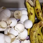 Estos 2 ingredientes valen oro en el jardín: abono muy potente