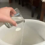 Hogar invadido por cucarachas y cucarachas, como limpiar el suelo para eliminarlas de inmediato