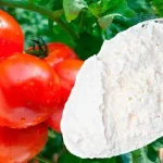 El remedio más fuerte para la inmunidad de pepinos, pimientos y tomates: funciona