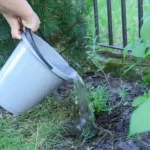 ¿Qué pasa si se derrama agua en el jardín del vecino? Ojo con la legislación