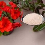 Permita que las flores florezcan todo el año con estos dos ingredientes naturales
