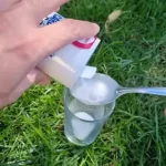 Aplique esto, las hormigas lo odian: no las volverá a ver en su casa o jardín