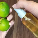 Las hormigas, moscas y cucarachas serán un mal recuerdo si haces esto en interiores.