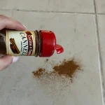 Tira 1 pizca de canela al suelo, el truco que lleva décadas funcionando
