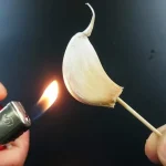 Burning Garlic at Home: What Happens After 15 Minutes