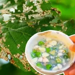 Cómo hacer un pesticida completamente orgánico: 2 ingredientes que no esperas
