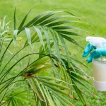 How to Make a Spray to Eliminate Garden Pests
