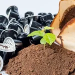 Los posos de café, un aliado insospechado. ¡Descubre 8 usos sorprendentes!