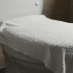 Never put toilet paper on the toilet, it’s a big mistake: there’s no going back
