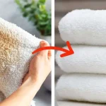 Old and yellowed towels, here’s how to whiten them and have them soft as clouds