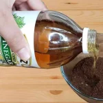 The Surprising Benefits of Mixing Apple Cider Vinegar with Coffee Grounds