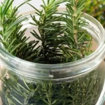 The three sprigs of rosemary in a jar trick: here’s why and how to put it into practice
