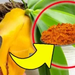 ¿Flores en la casa? Con este ingrediente crecerán visiblemente: ¡mi abuela me enseñó eso!