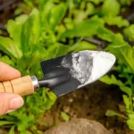 Baking Soda: 5 Surprising Uses for Your Garden and Plants  