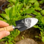 Baking soda repels slugs and cleans the soil. How to use it correctly in the garden?
