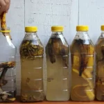 Banana peels: Place them in a bottle. If you use them like this you will never throw them away again