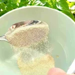 This greatly accelerates the growth of the plants you have on your balcony and garden