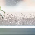This miracle (and elegant) plant to say goodbye forever to humidity in your interior