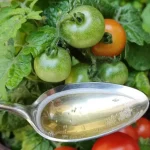 Tomatoes and cucumbers will grow 10 times faster with this supplement